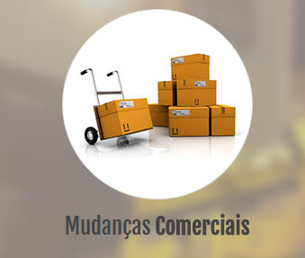 empresa de mudança